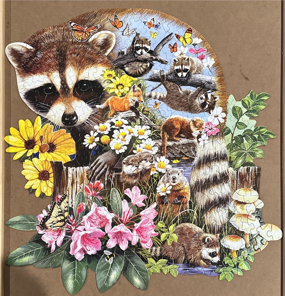 Raccoon Cub . - Bits & Pieces puzzle collectible [Barcode 704812104658] - Main Image 2
