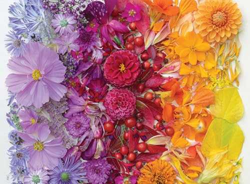 Life Is An Open Book: Paris