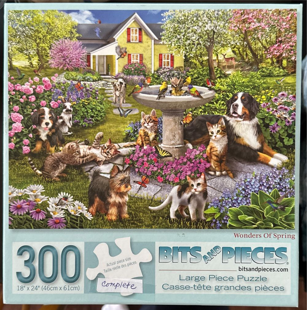 Tram In Lisbon, Portugal