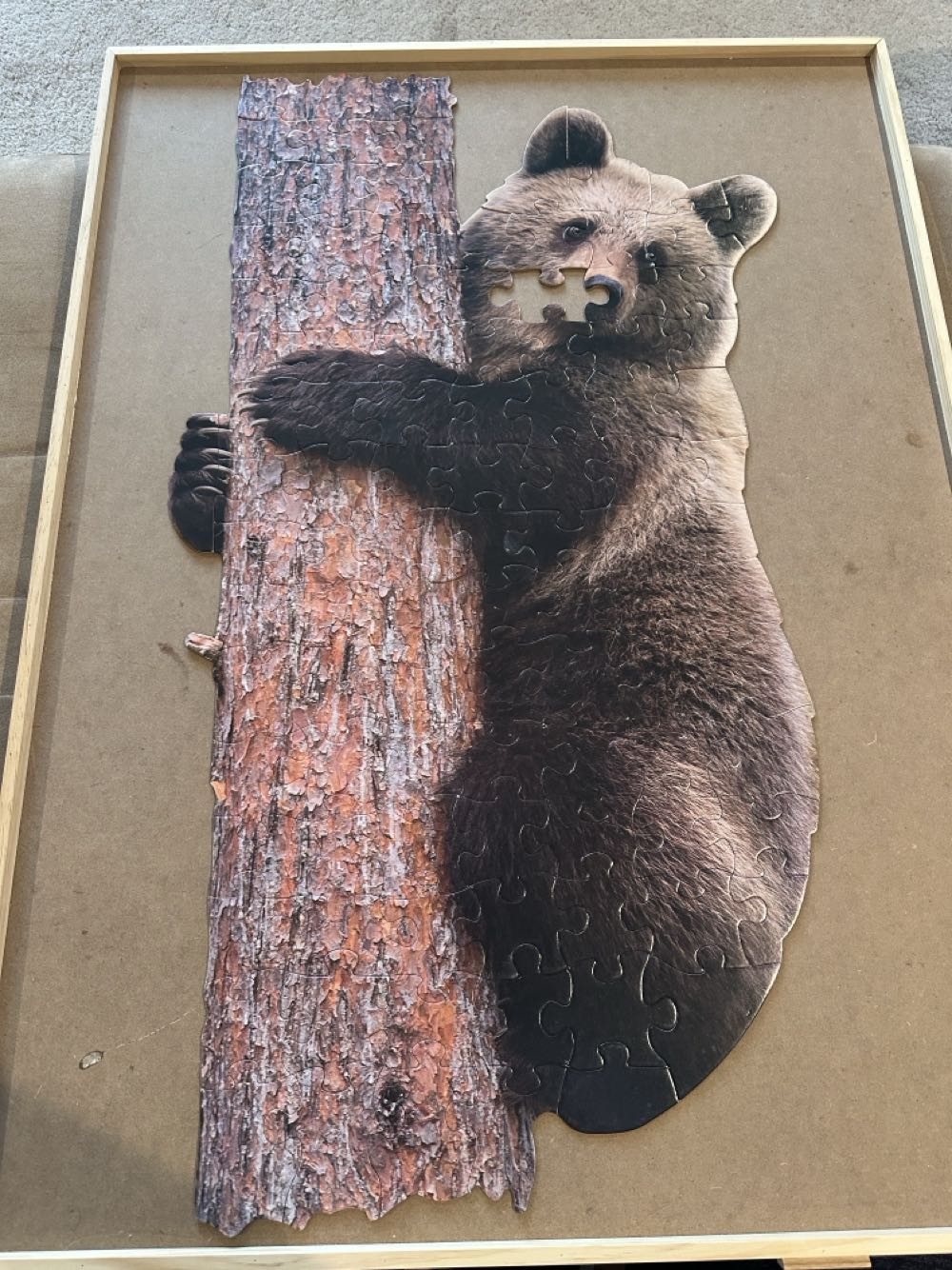 I Am Lil’ Bear . - Madd Capp puzzle collectible [Barcode 040232640810] - Main Image 3