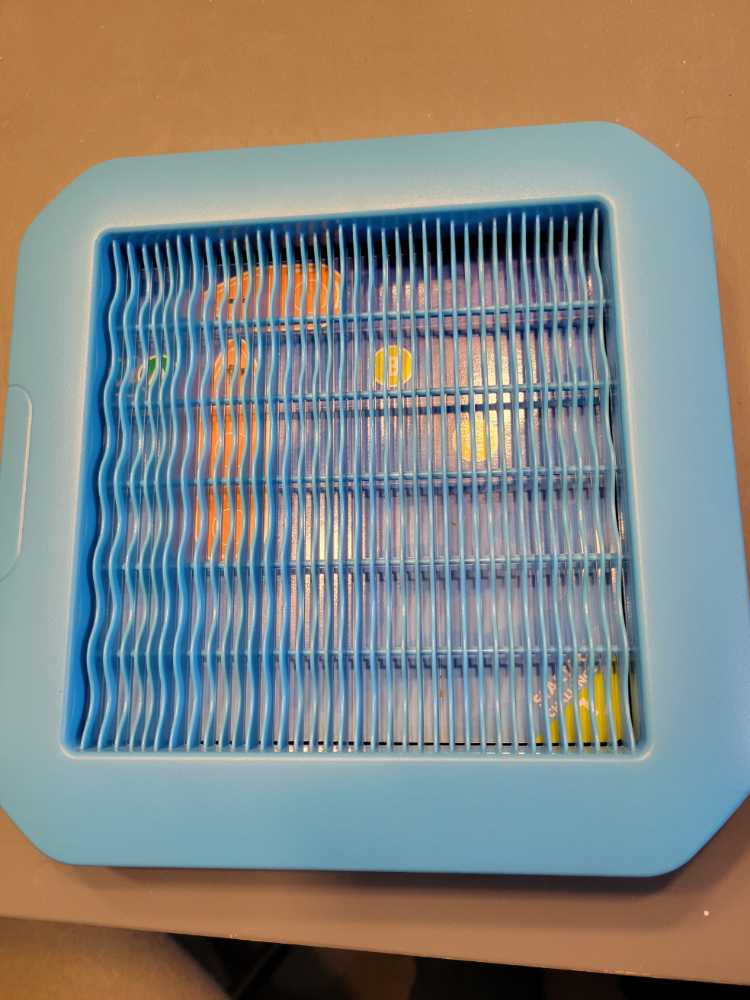 Barnyard Buddies ♥️