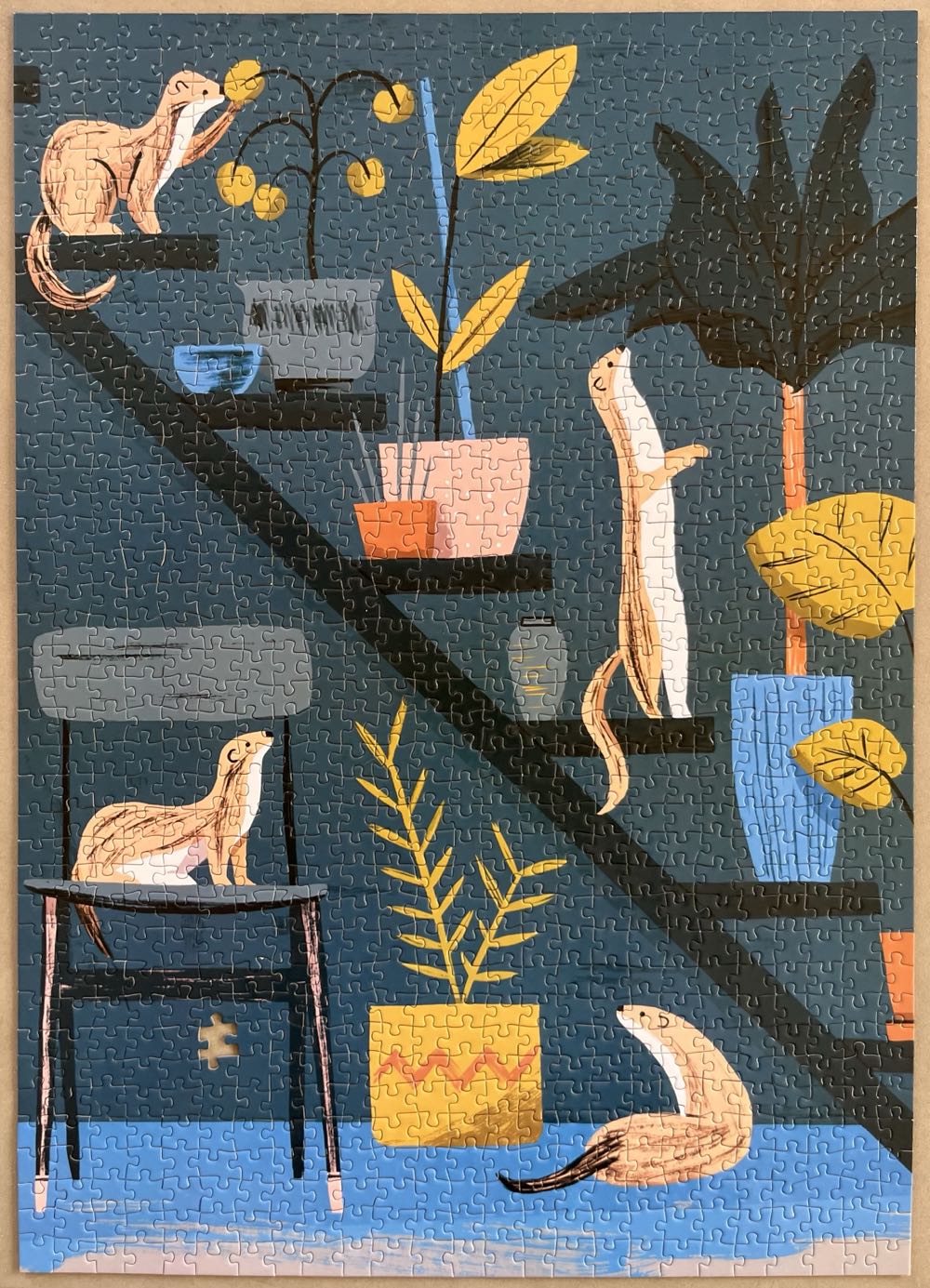 Nature Journal: Summer