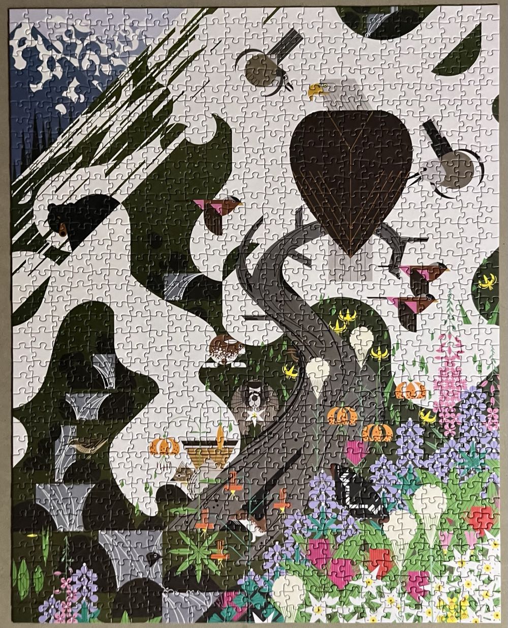 Where Are My Glasses