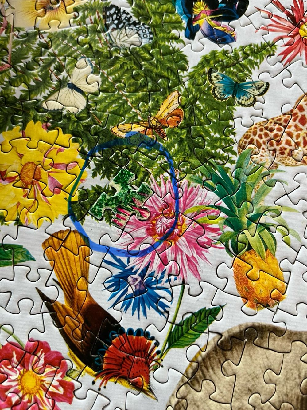 Safari - MasterPieces puzzle collectible - Main Image 4