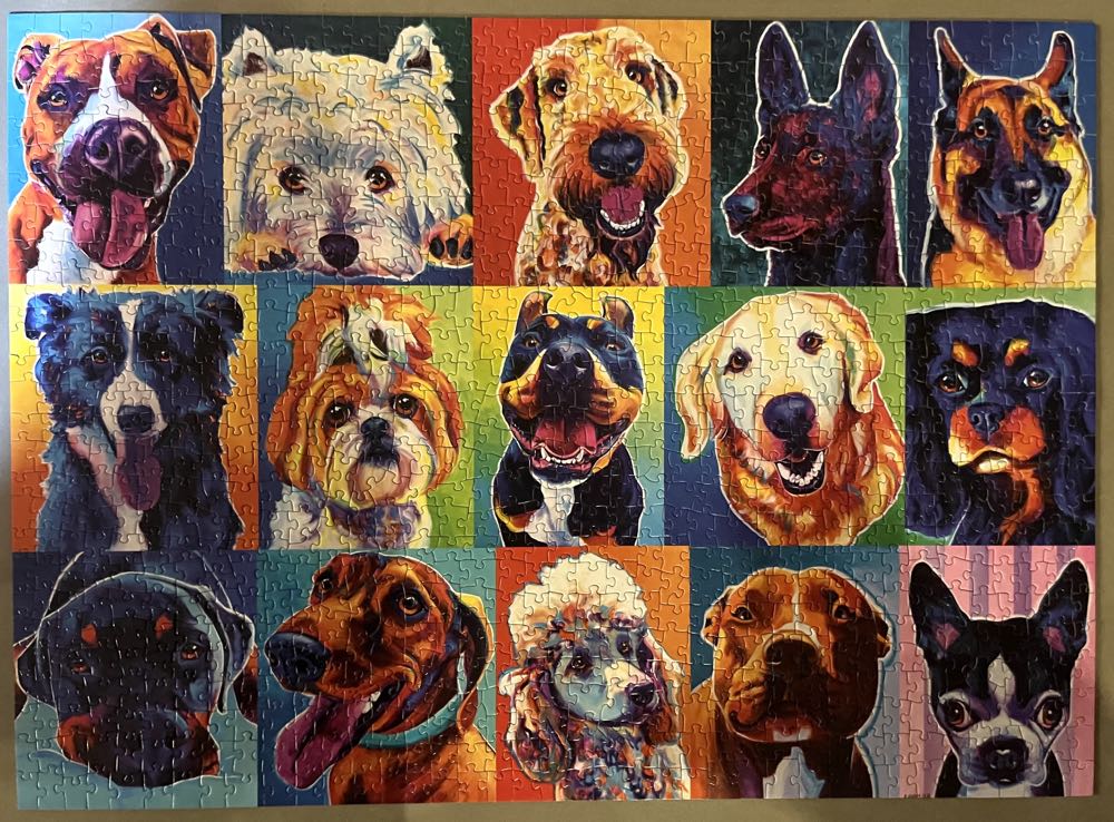 Purrfect Accessories