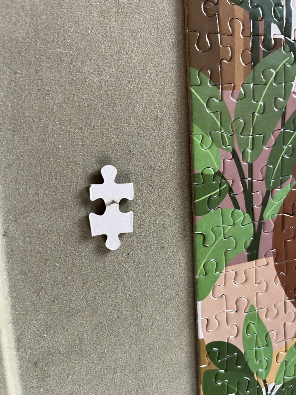 House of Plants - Galison puzzle collectible - Main Image 3