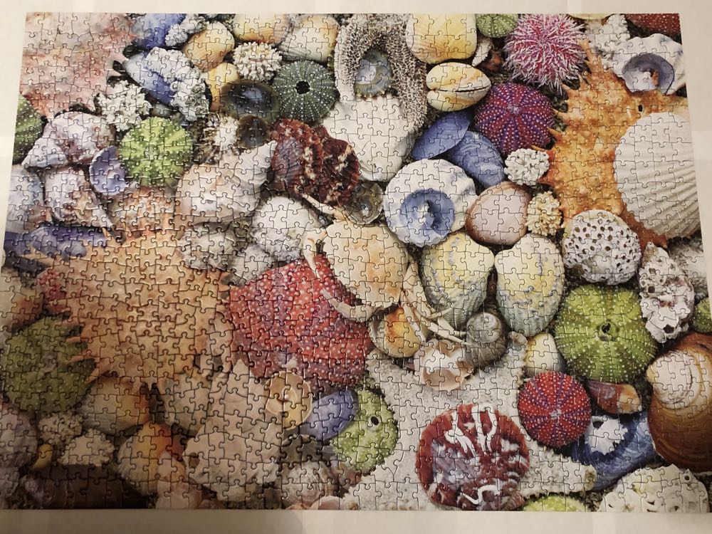 Seashore - Re-marks puzzle collectible - Main Image 3