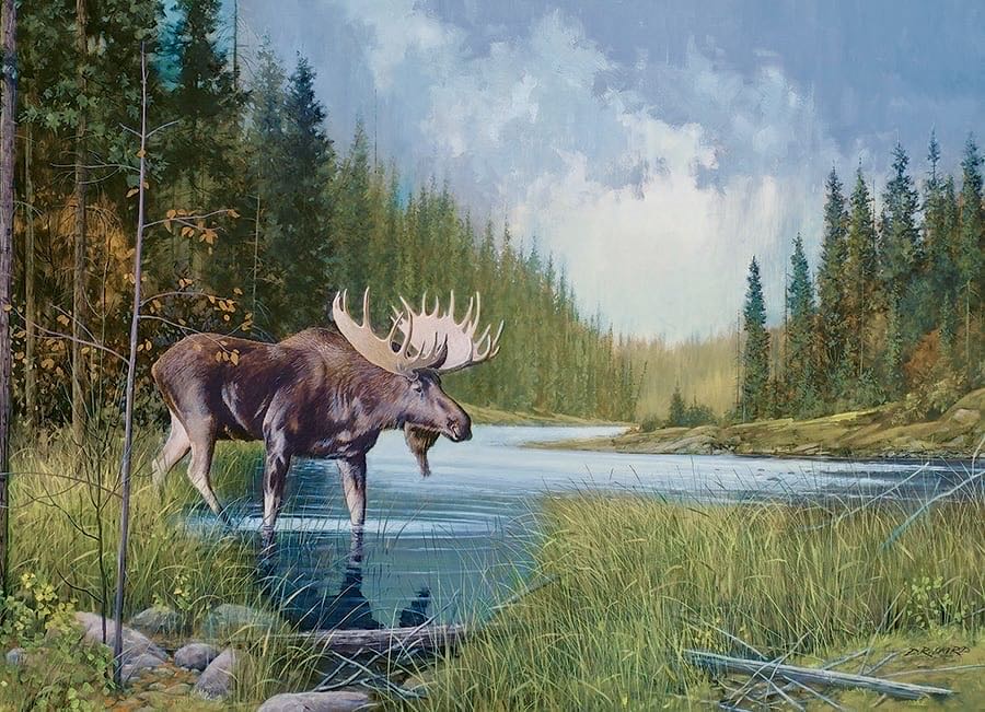 Puzzle Moose Lake (PC) 💎 - Cobble Hill puzzle collectible [Barcode 625012401968] - Main Image 2