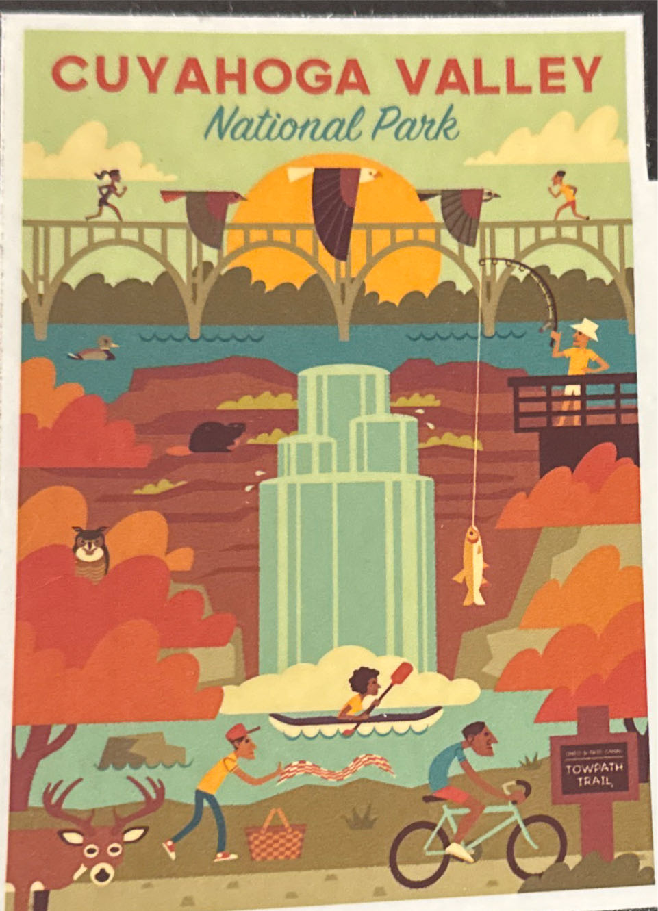 Raining Cats And Dogs