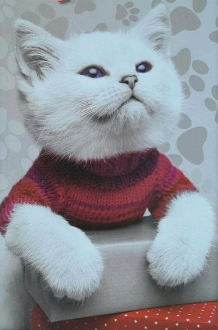 Fluffy 🟦 - Trefl puzzle collectible [Barcode 5900511371680] - Main Image 2