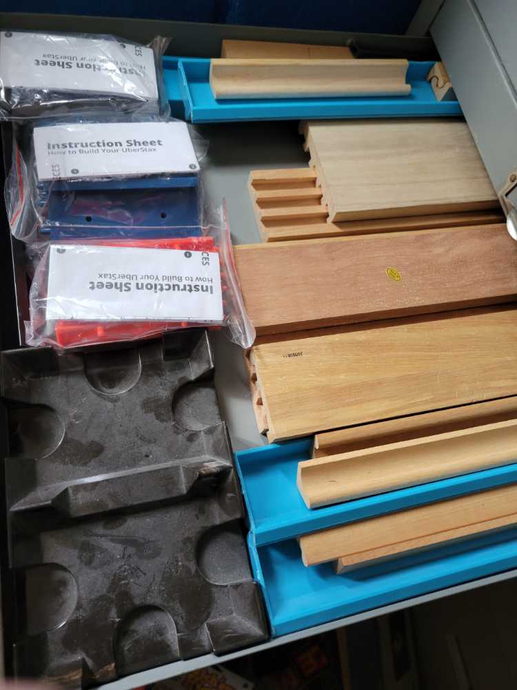 Jeune fille au chien 