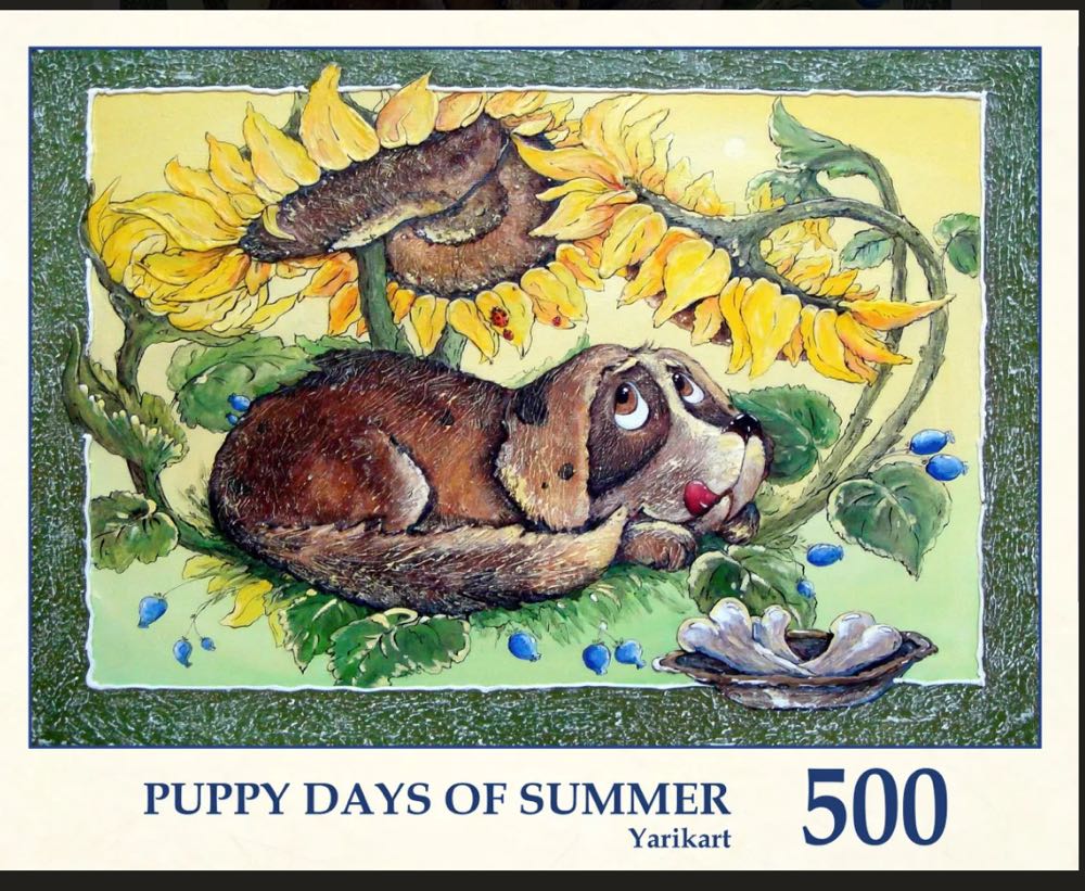 British ShortHair Cat-American Shorthair  Curious Kittens🟦