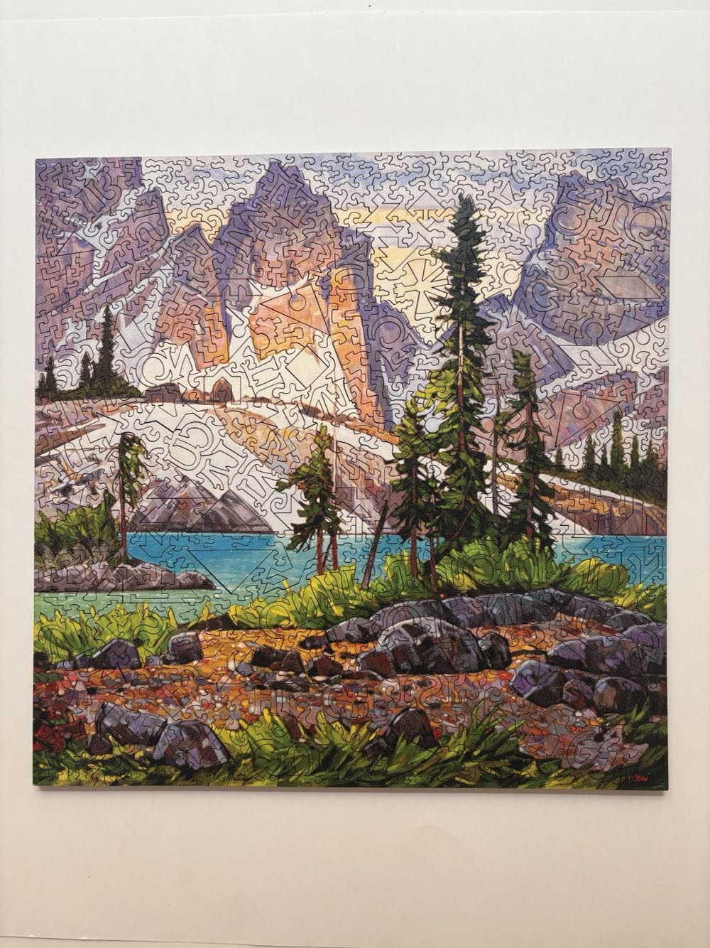 Puzzle L’orient Express: Pièces