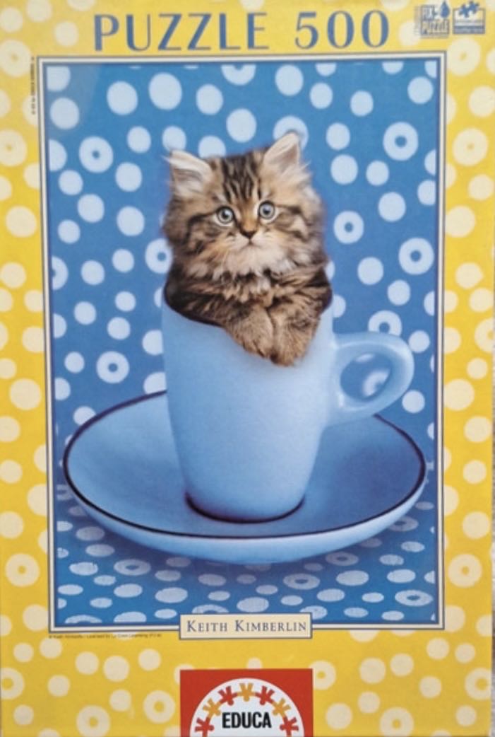 Money Puzzle Box Money Holder Maze Gift Holder Stocking Stuffers For Teens And Adults Christmas Small Gifts Fun Way To Give Cash As A Gift