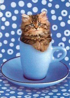 What A Sweetie  puzzle collectible - Main Image 2