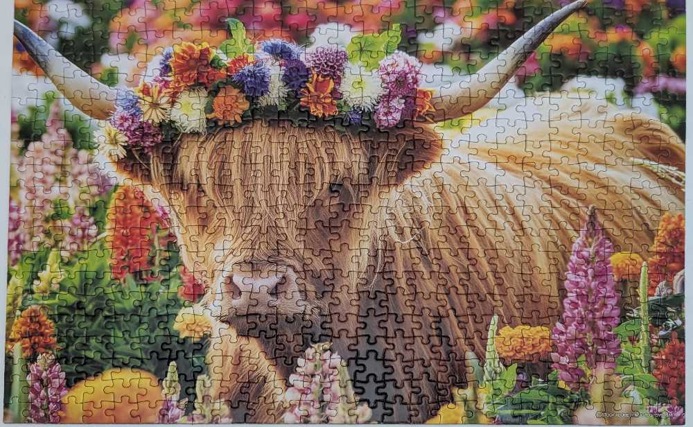 Highland Cows - Sure-Lox 🇨🇳 puzzle collectible [Barcode 686141115515] - Main Image 2