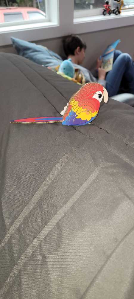 Eugy Parrot 3d Puzzle 25 Piece Eco-friendly Educational Toy Puzzles For Boys Girls & Kids Ages 6  puzzle collectible [Barcode 9421035150224] - Main Image 2