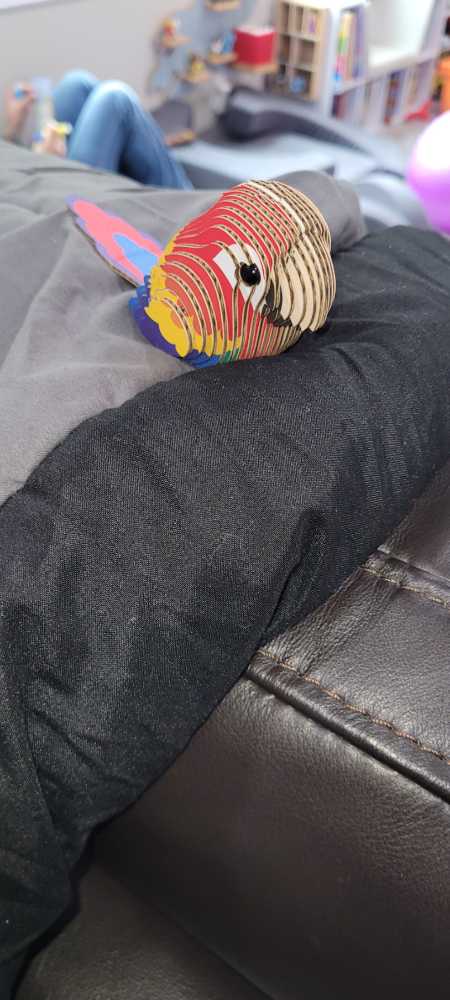 Eugy Parrot 3d Puzzle 25 Piece Eco-friendly Educational Toy Puzzles For Boys Girls & Kids Ages 6  puzzle collectible [Barcode 9421035150224] - Main Image 3