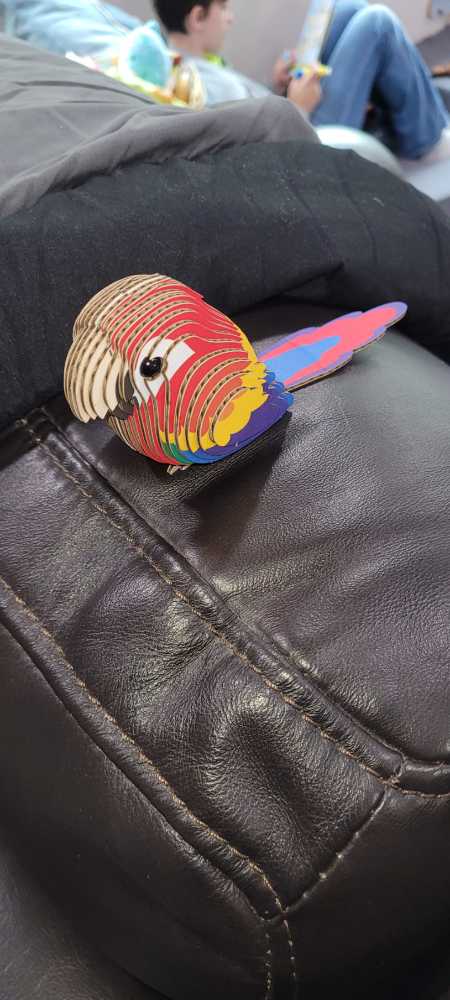 Eugy Parrot 3d Puzzle 25 Piece Eco-friendly Educational Toy Puzzles For Boys Girls & Kids Ages 6  puzzle collectible [Barcode 9421035150224] - Main Image 4