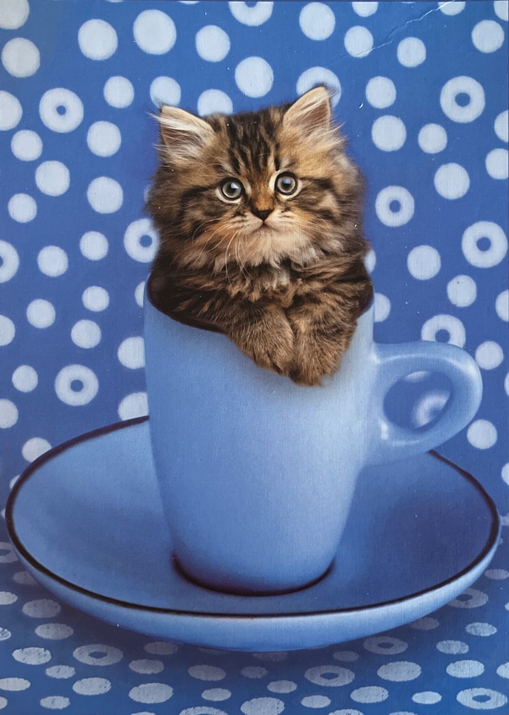 What  A Sweetie 🟦 - Educa puzzle collectible [Barcode 8412668120372] - Main Image 2