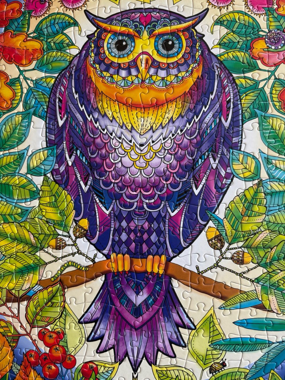 Secret Garden : Forest Owl* - Buffalo Games puzzle collectible - Main Image 4