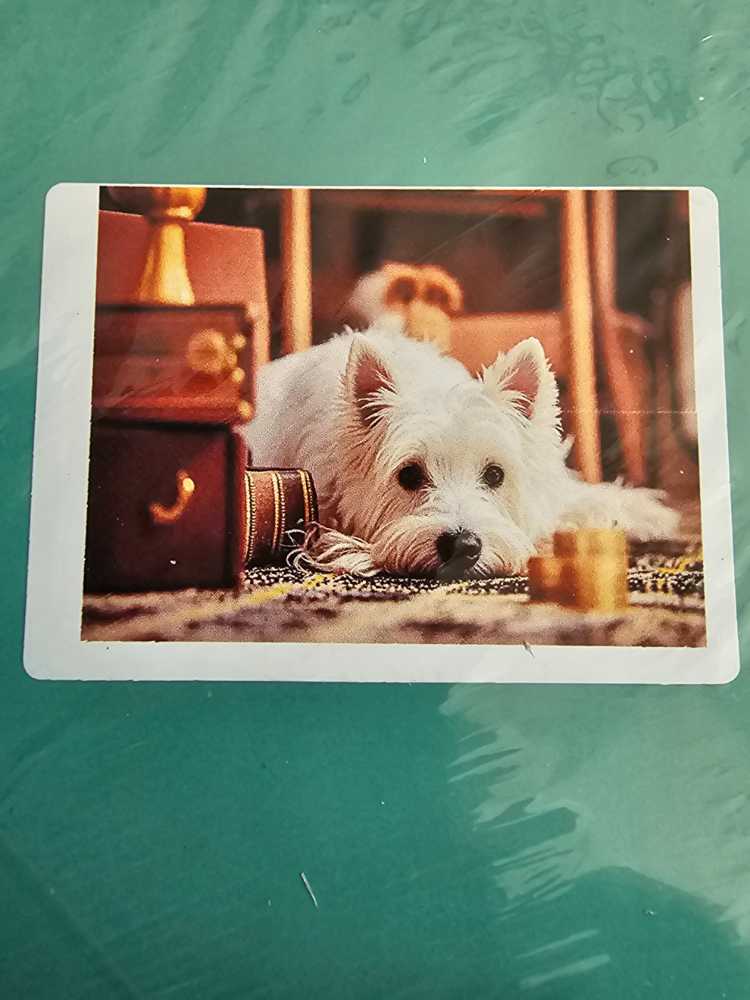 Zuru Toy Mini Brands! 200 Pc. Surprise & Mini Inside Brand New Sealed!