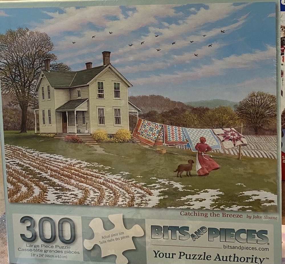 Catching The Breeze - Bits & Pieces puzzle collectible [Barcode 192949077967] - Main Image 2