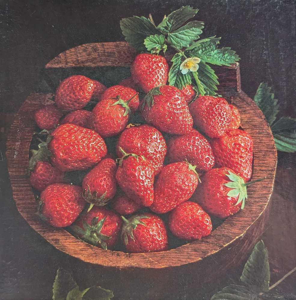 Harry Potter Hogwarts Castle