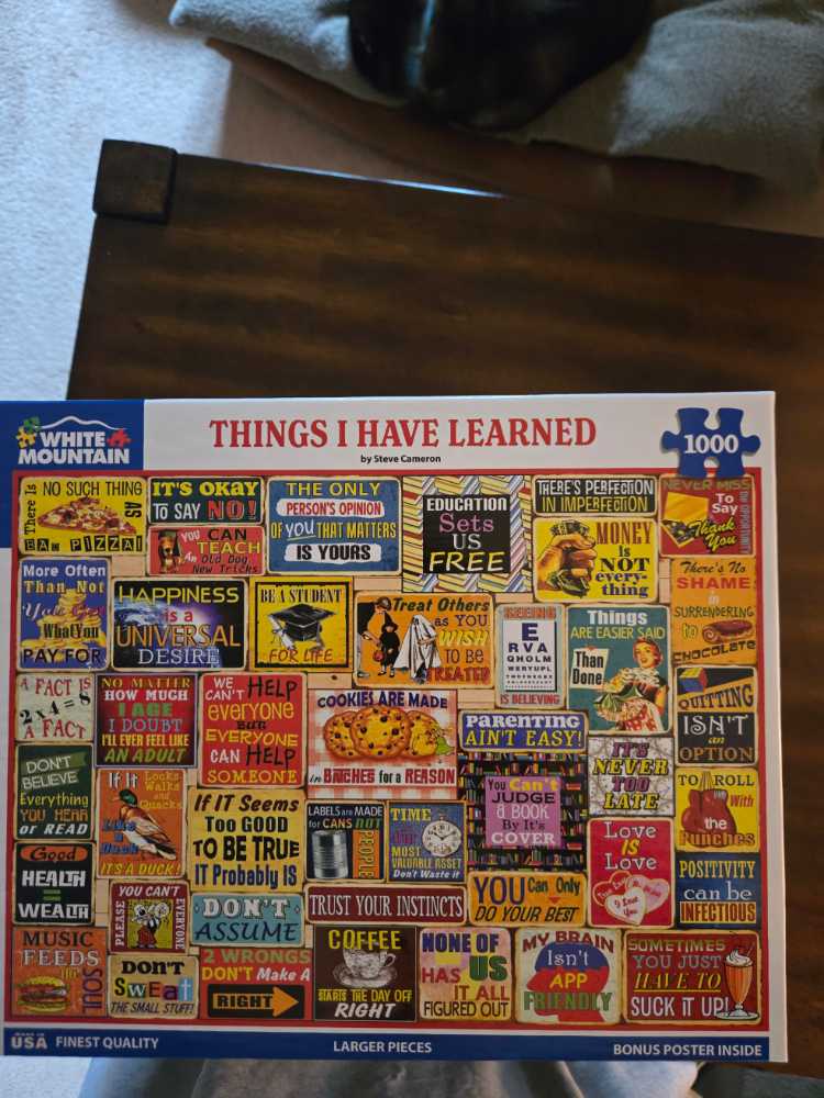 Teddy Bear Collection