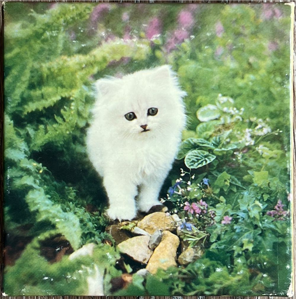 Nathan 87324 Naruto Vs. Sasuke Pièces Naruto Vs Sasuke Sasuke 1 000 Pieces Pezzi