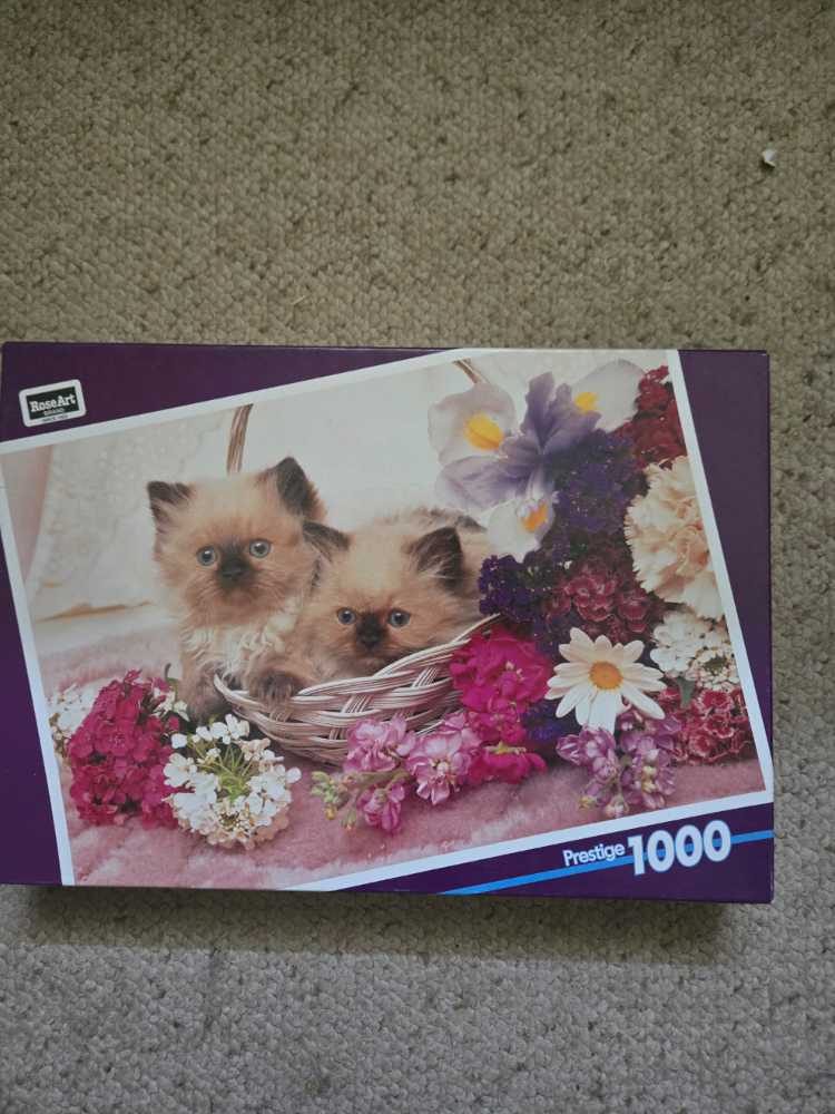 Glitter & Gold Masque Of Love