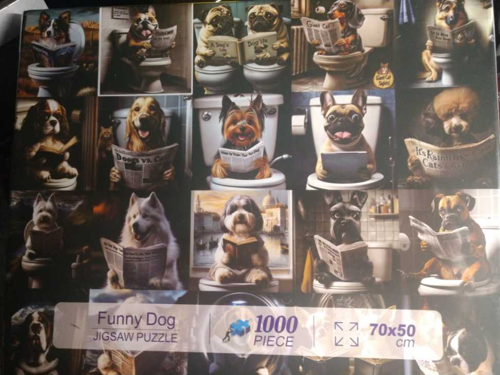 Changing Of The Guard