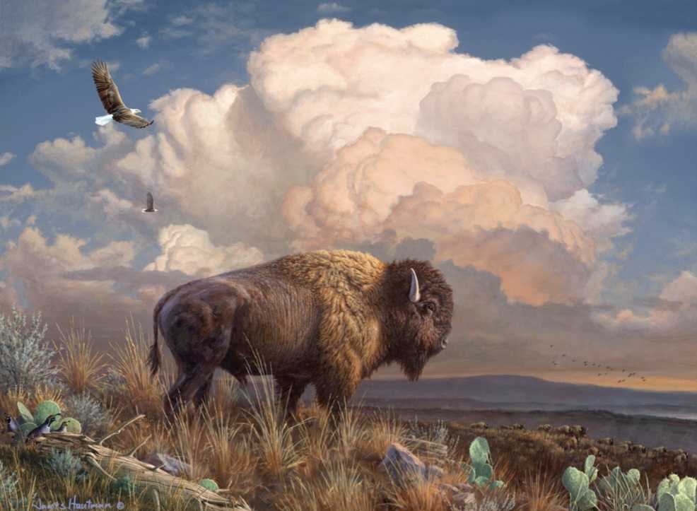 Majestic Bison - Buffalo Games puzzle collectible [Barcode 079346131242] - Main Image 2