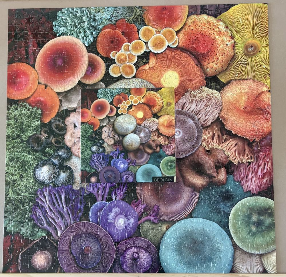 Colorful Mushroom- GONE - BBoldin puzzle collectible - Main Image 2