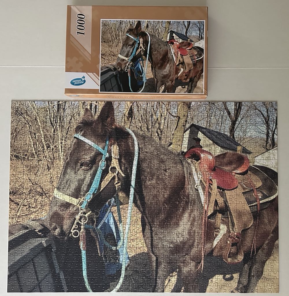 Trish’s Horse - Venus Puzzle puzzle collectible - Main Image 2