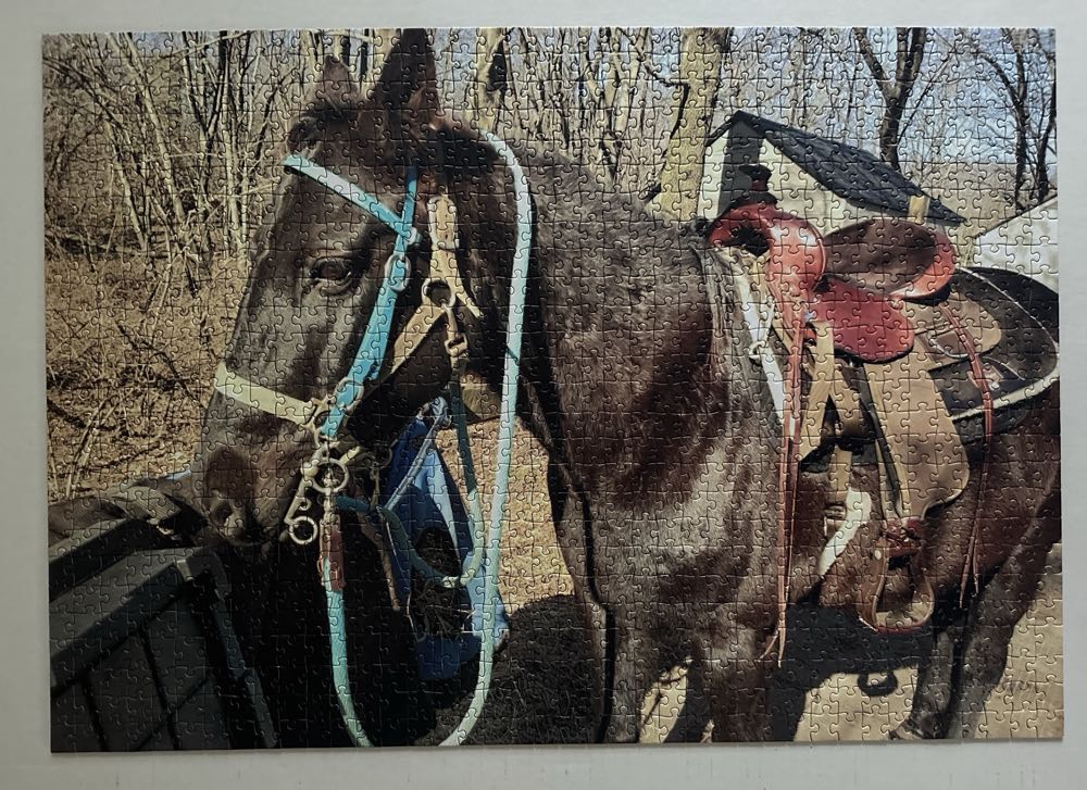 Trish’s Horse - Venus Puzzle puzzle collectible - Main Image 3