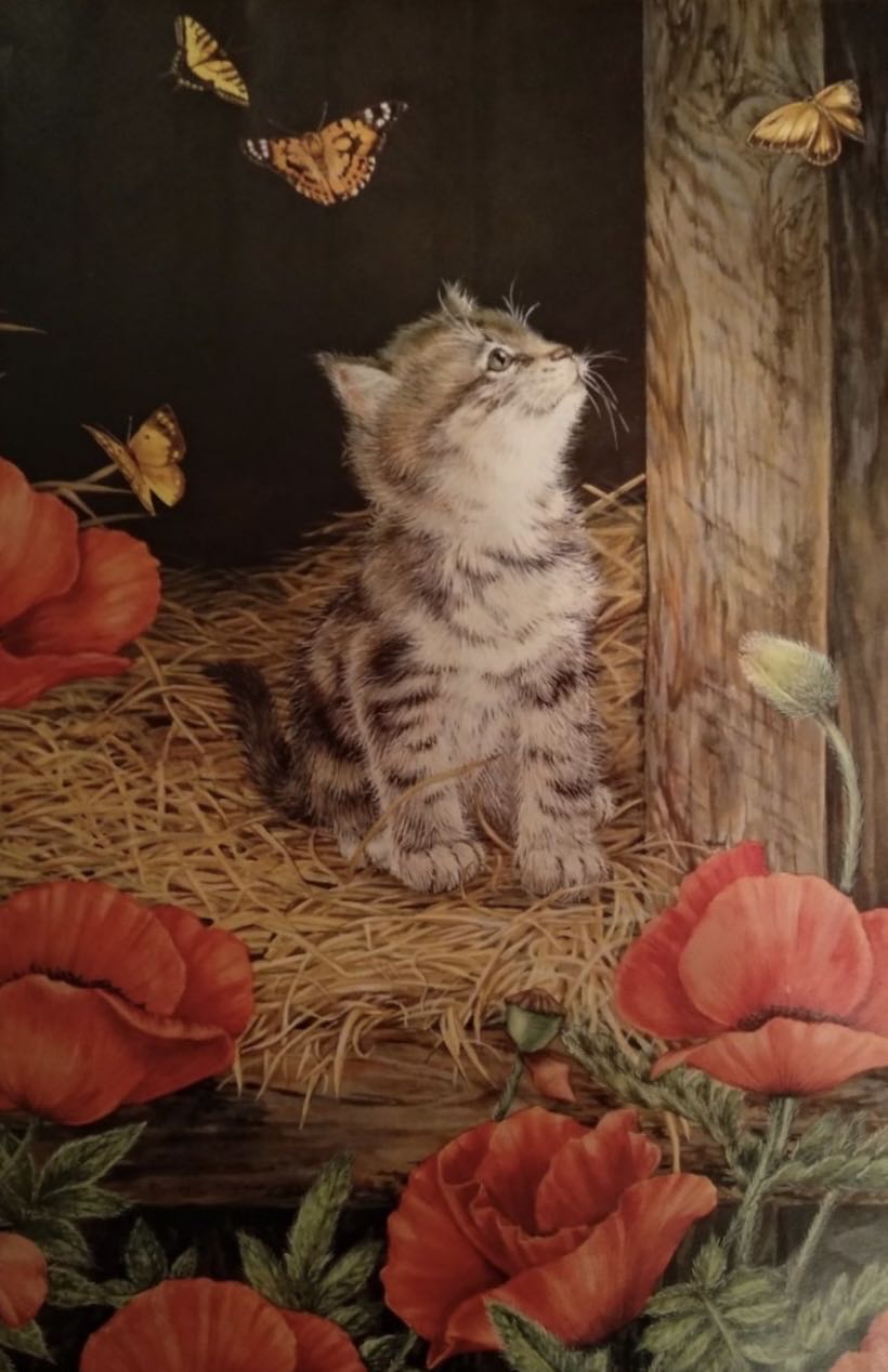 Farm Cats 🟦 - Weltbild puzzle collectible [Barcode 4026411224862] - Main Image 2