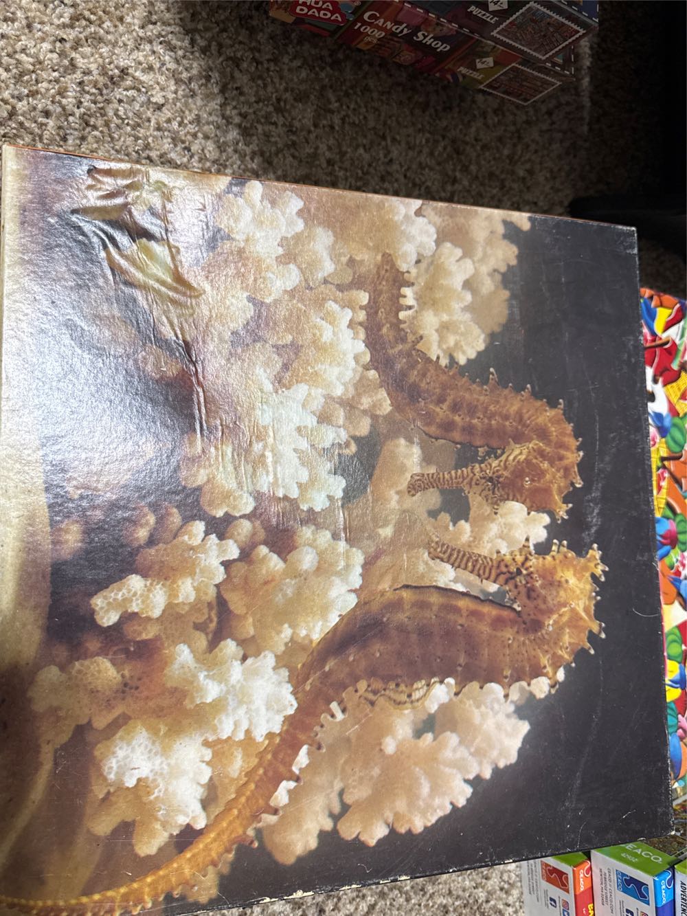 4w1. Moje Pierwsze . Księżniczki Disneya Puzzle. Jigsaw Clementoni Princess 4w1 20813 My First For Children Disney 3 6 9 12 Pi