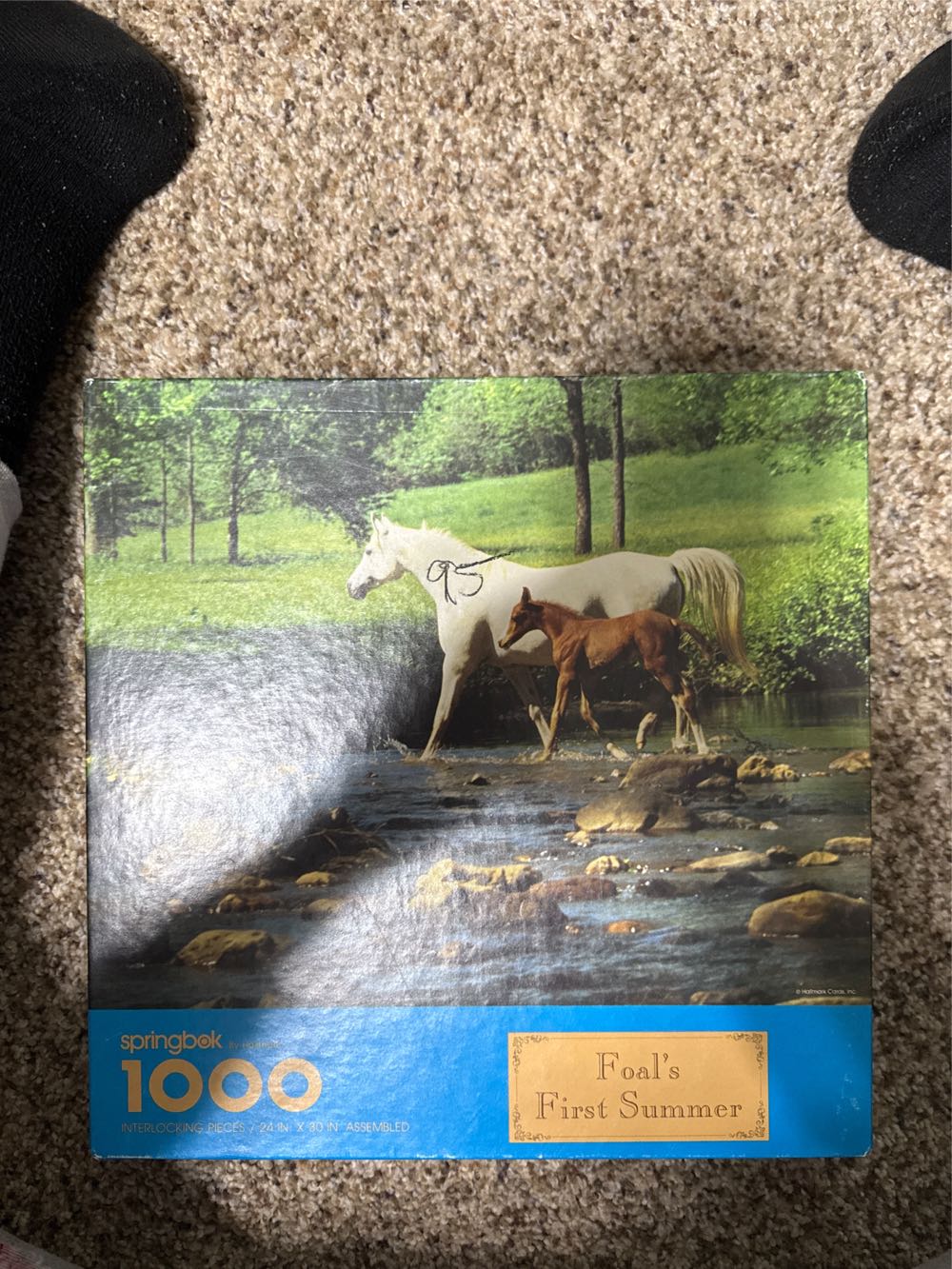 Bits & Pieces Nantucket Lane 550 Piece Jigsaw Puzzle