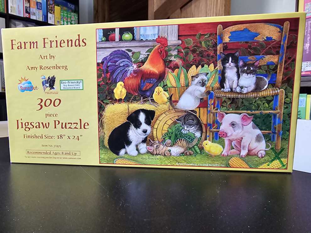 Paragon Rocky Mountain Winter | Panoramic