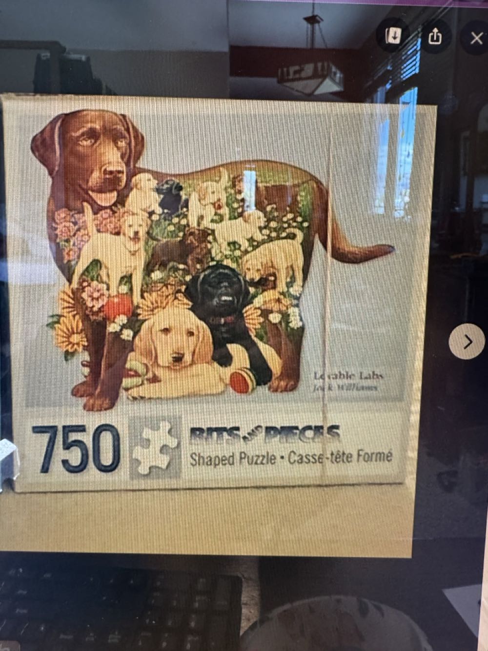 Visitor To My Garden 