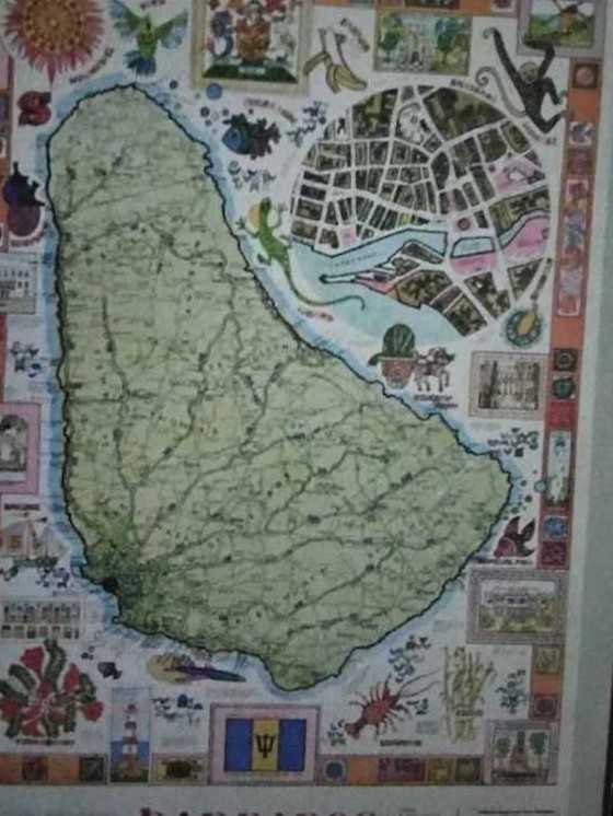 Trefl: Fantasy Creatures