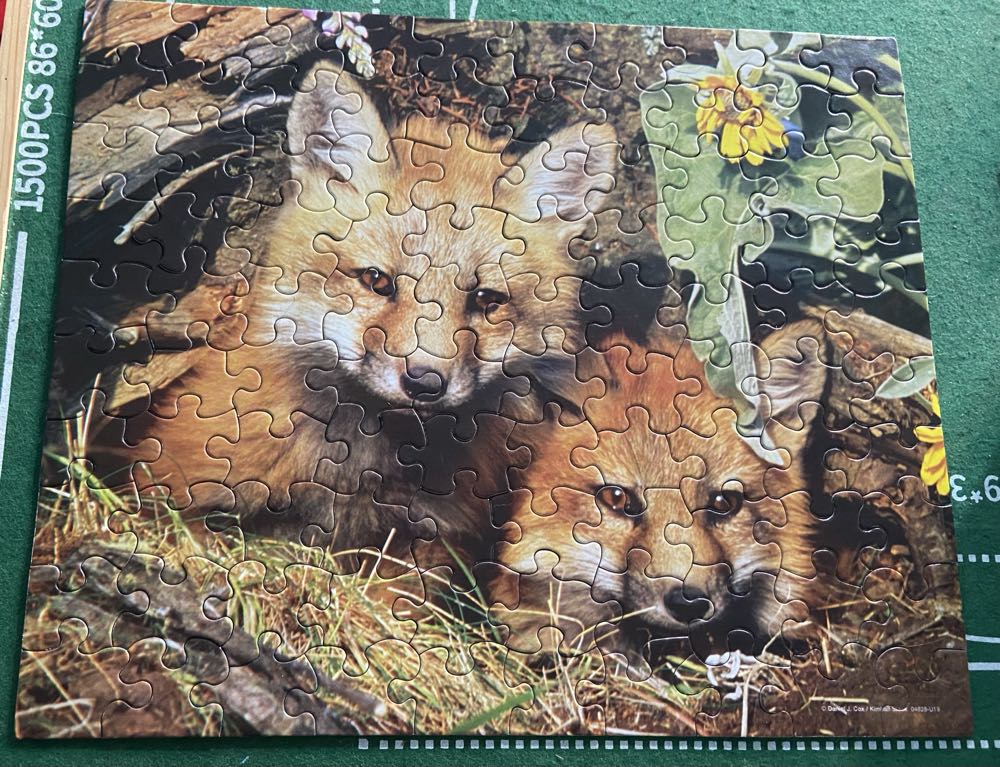 Fox Kits - MB Puzzle puzzle collectible [Barcode 032244048289] - Main Image 2