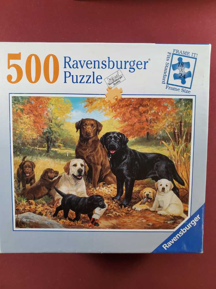 Euro Jig. A Continent In Pieces