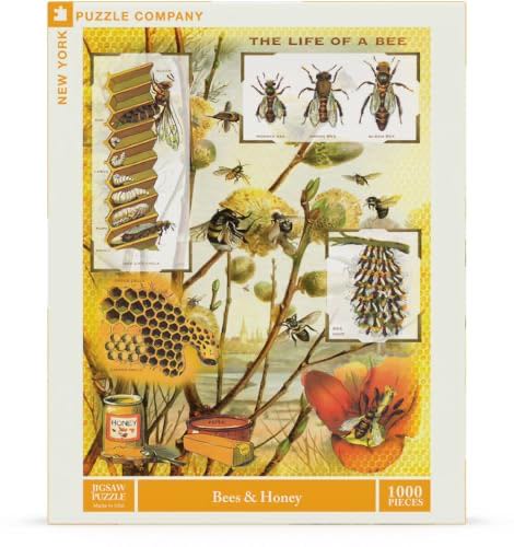 Collage Collage New York Collage Brikker Educa