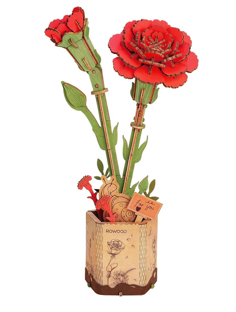 Winter Skating In Santa Train