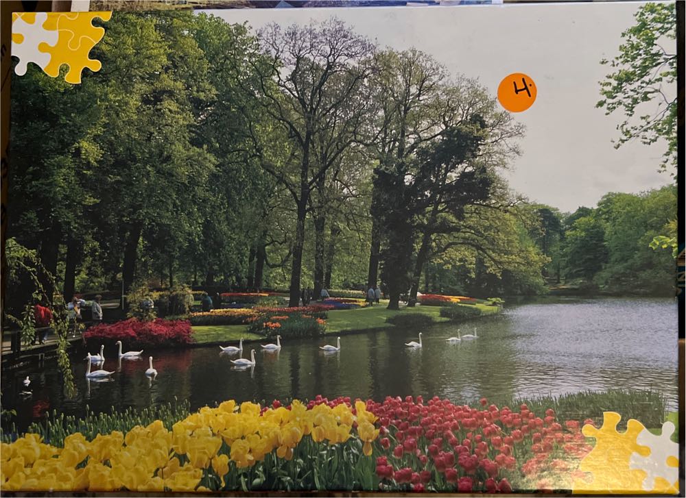 100 Years Of London Buses