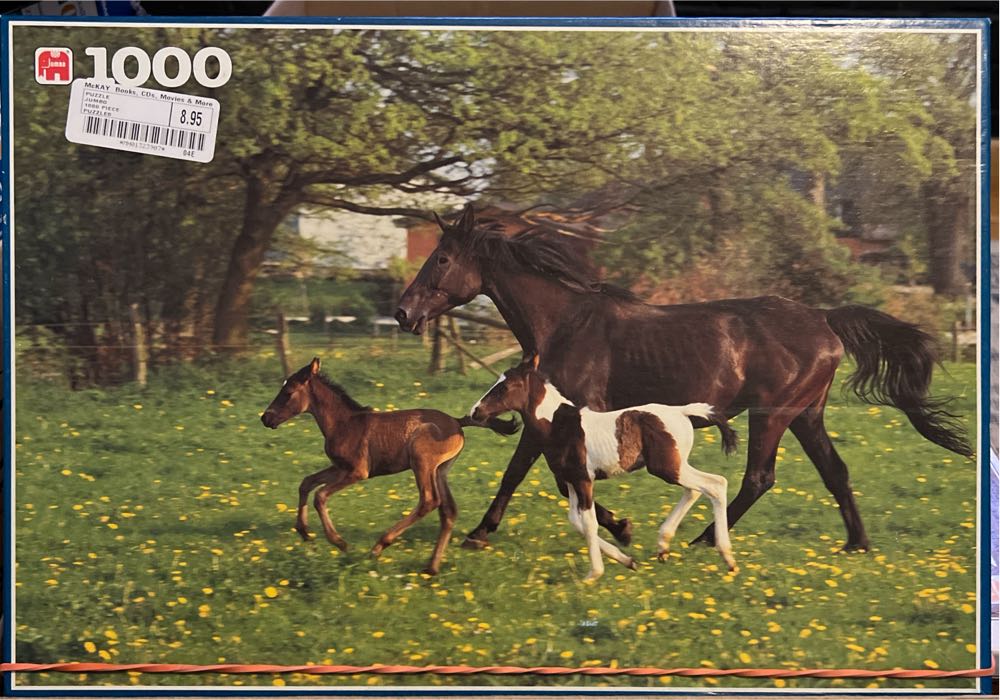 Knight’s Kingdom: Jayko