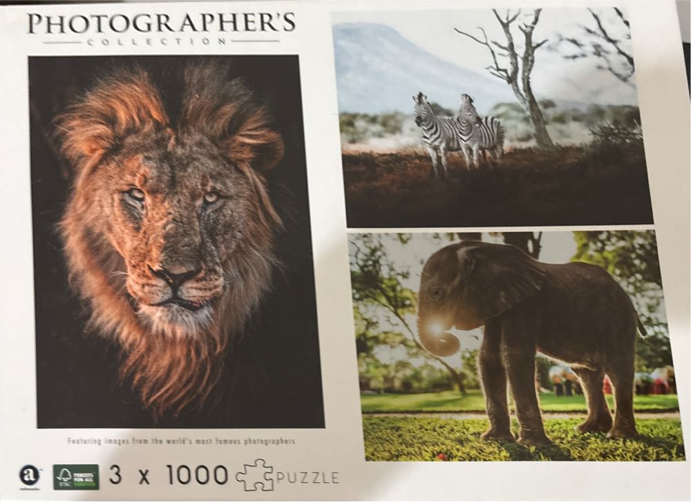 Horse Surround🆕🚪