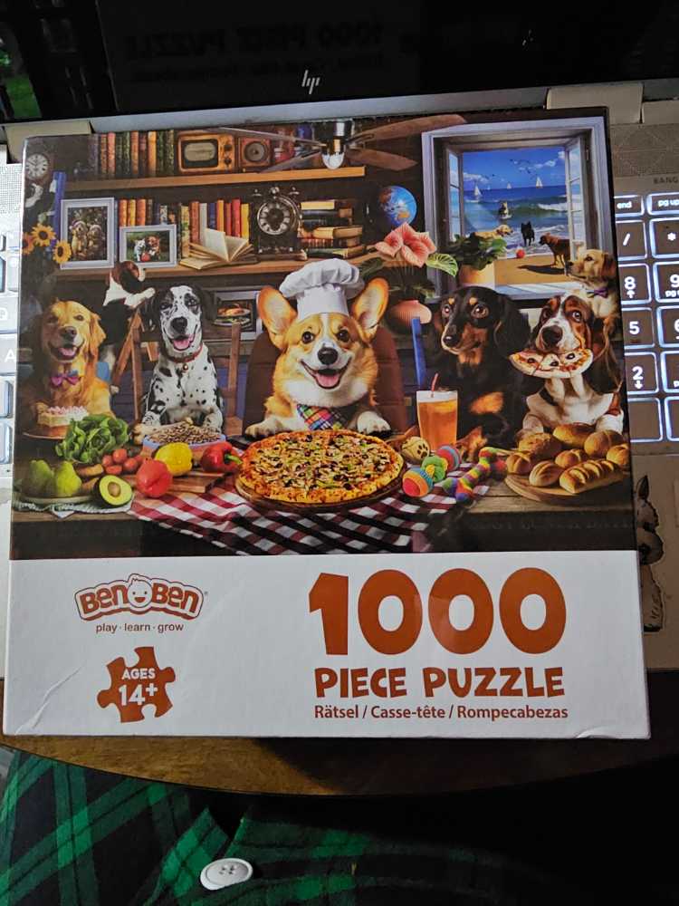 D-300-249: Surprise Gift (DE)